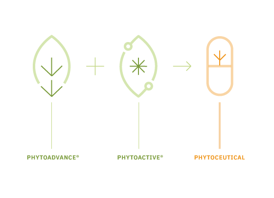PhytoRelief-CC